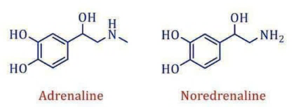 A couple of chemical structures
Description automatically generated with medium confidence
