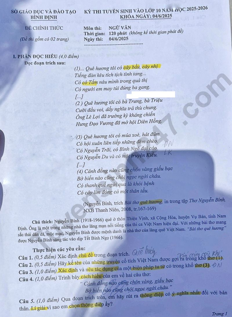 Dap an de thi vao lop 10 mon Van 2025 - Binh Dinh