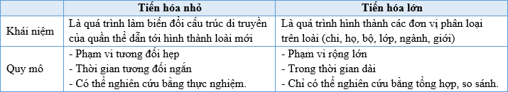 A screenshot of a computer
Description automatically generated