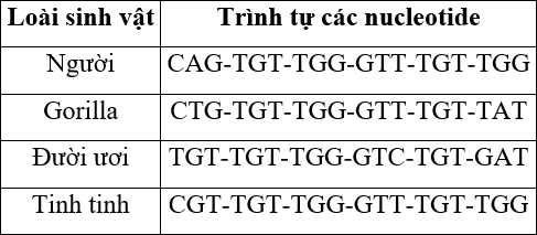 A table with text on it

Description automatically generated