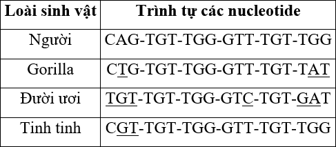 A table with text on it

Description automatically generated
