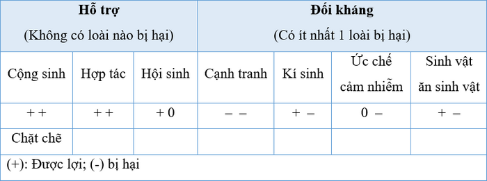 A picture containing text, screenshot, font, number
Description automatically generated