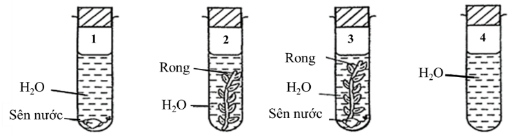 A diagram of a test tube

Description automatically generated