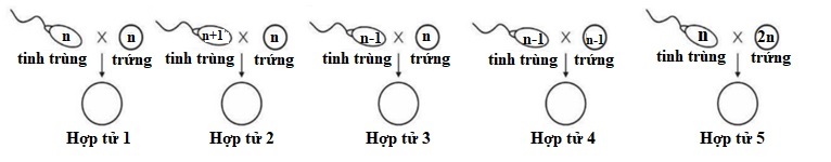 C:\Users\HP\Desktop\1. DUNG sai.jpg