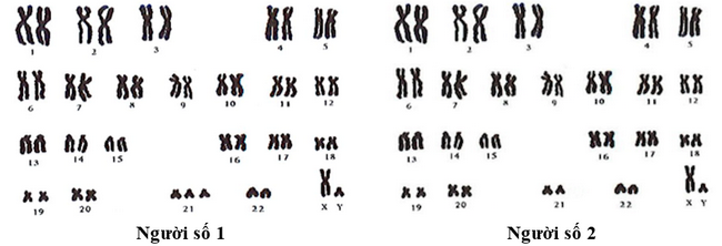 A group of black symbols

Description automatically generated