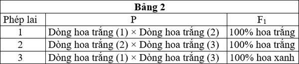 A table with black text

Description automatically generated