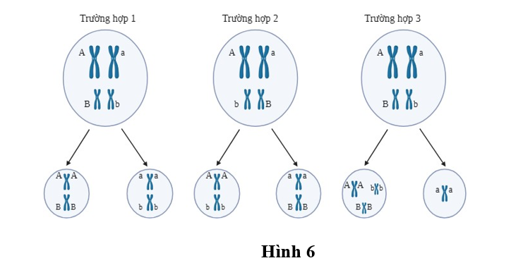 Diagram of a diagram of a cell division

AI-generated content may be incorrect.