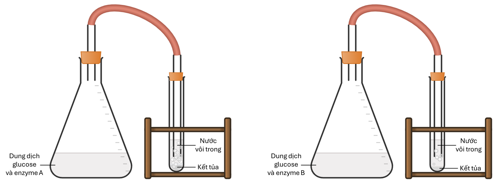 A diagram of a test tube

AI-generated content may be incorrect.