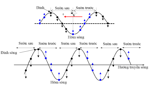 Một sóng cơ hình sin truyền trên sợi dây rất dài có tần số 10 Hz, theo phương ngang. Ở một thời điểm, hình dạng một phần của sợi dây có dạng