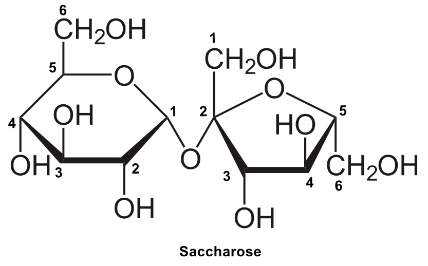 A black background with text and symbols

AI-generated content may be incorrect.