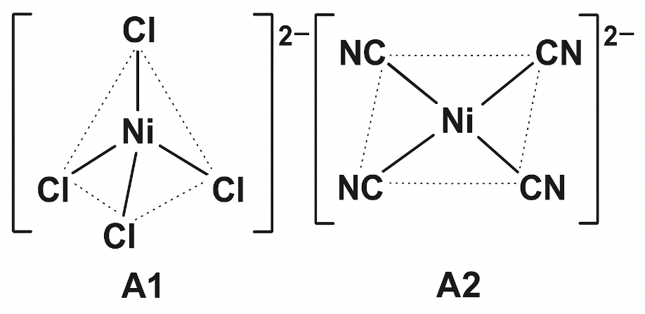 A diagram of a chemical structure

AI-generated content may be incorrect.
