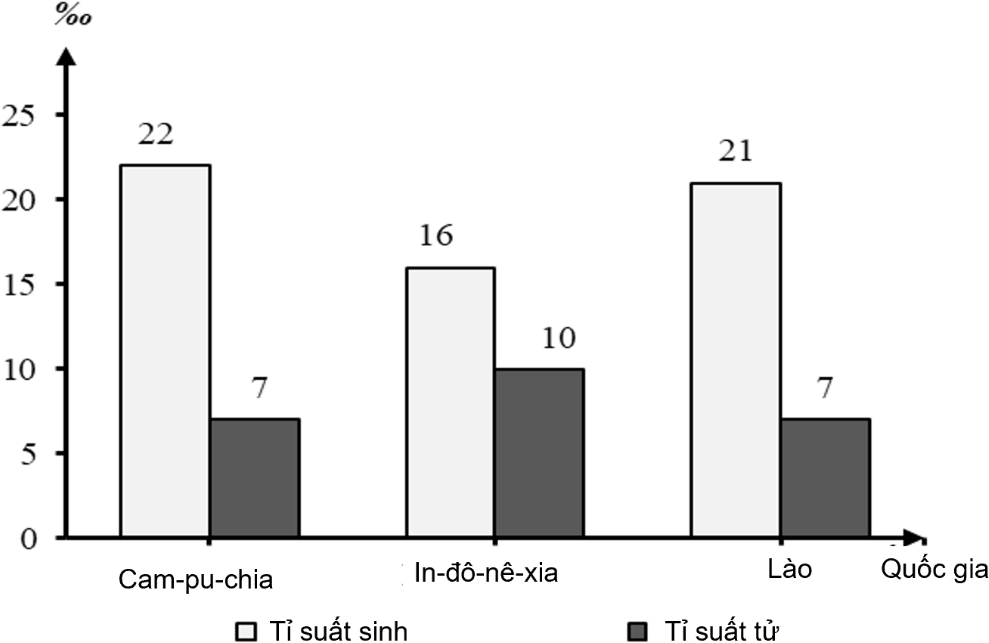A graph of different sizes and colors  AI-generated content may be incorrect.