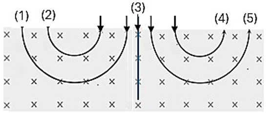 A diagram of a graph

AI-generated content may be incorrect.