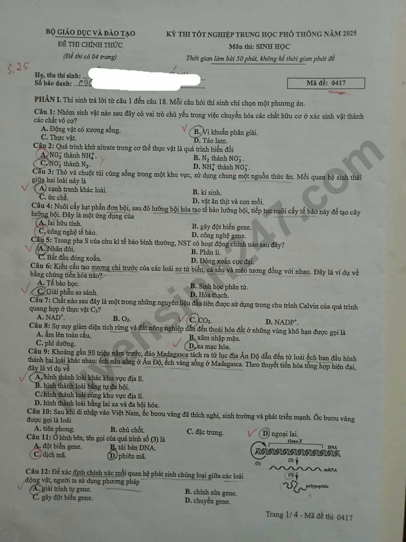 Dap an de thi tot nghiep THPT 2025 - ma de 0417 mon Sinh