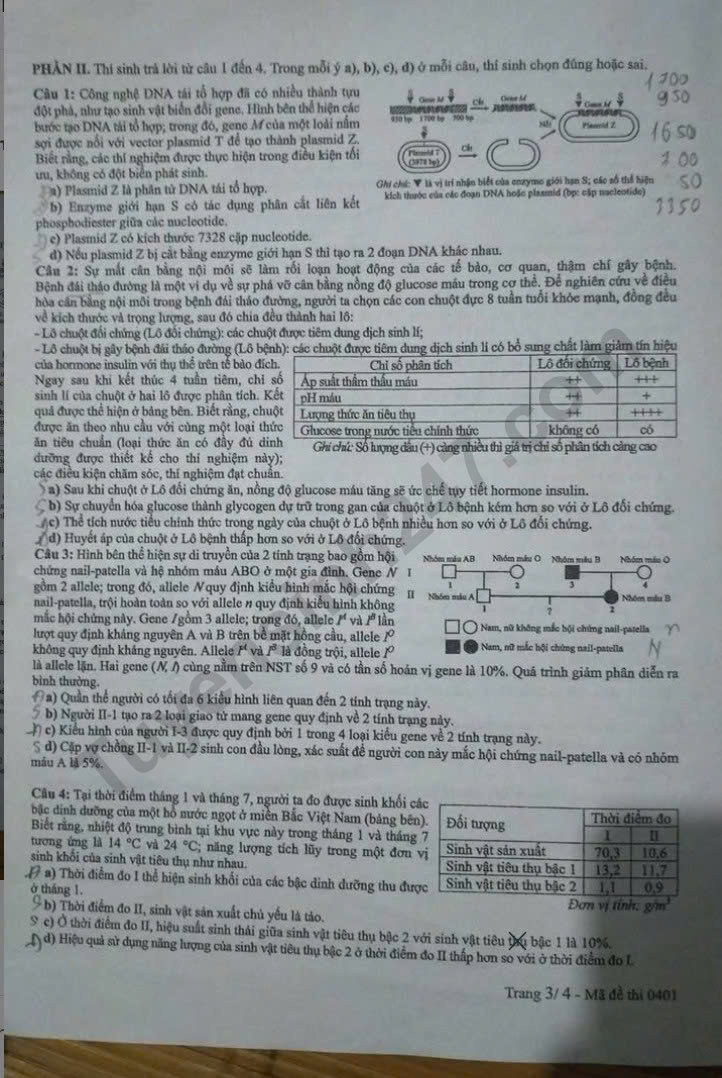 Dap an de thi tot nghiep THPT mon Sinh 2025 - Ma de 0401