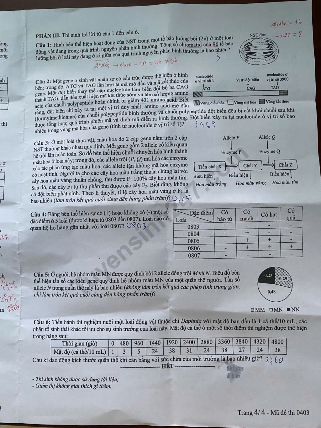 Dap an de thi tot nghiep THPT 2025 mon Sinh ma de 0403