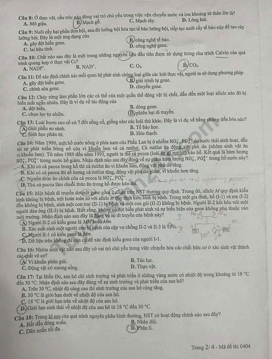 Dap an mon Sinh - ma de 0404 tot nghiep THPT 2025