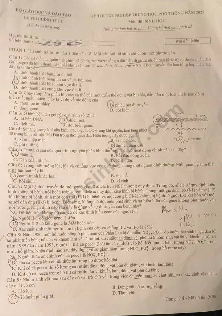 Dap an de thi mon Sinh ma de 0406 - tot nghiep THPT 2025
