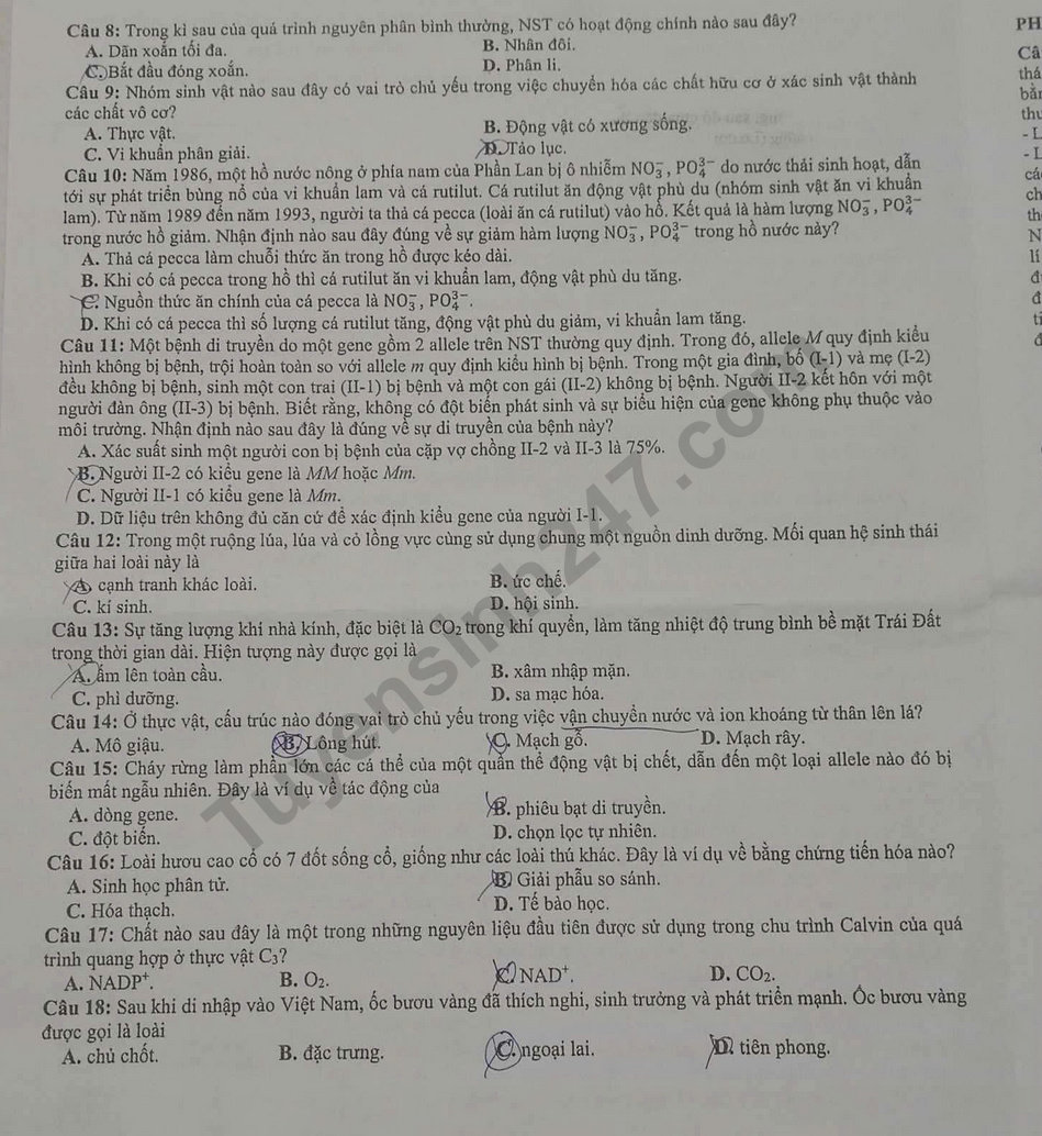 Dap an de thi tot nghiep THPT 2025 - ma de 0410 mon Sinh