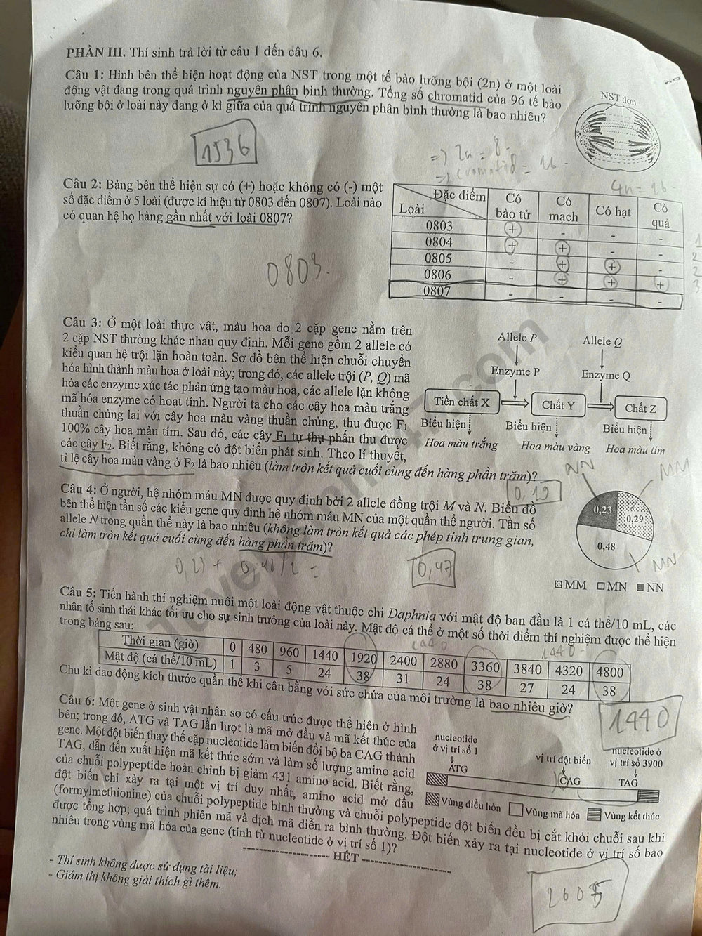 Dap an de thi mon Sinh ma de 0411 - tot nghiep THPT 2025
