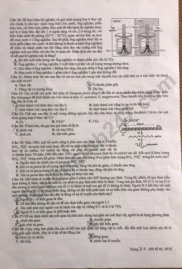 Dap an de thi tot nghiep THPT 2025 mon Sinh ma de 0416