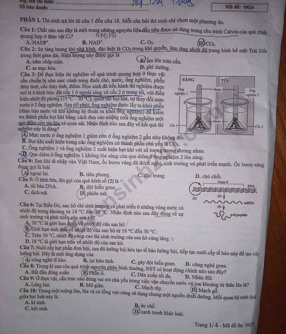 Dap an de thi tot nghiep THPT 2025 - ma de 0424 mon Sinh