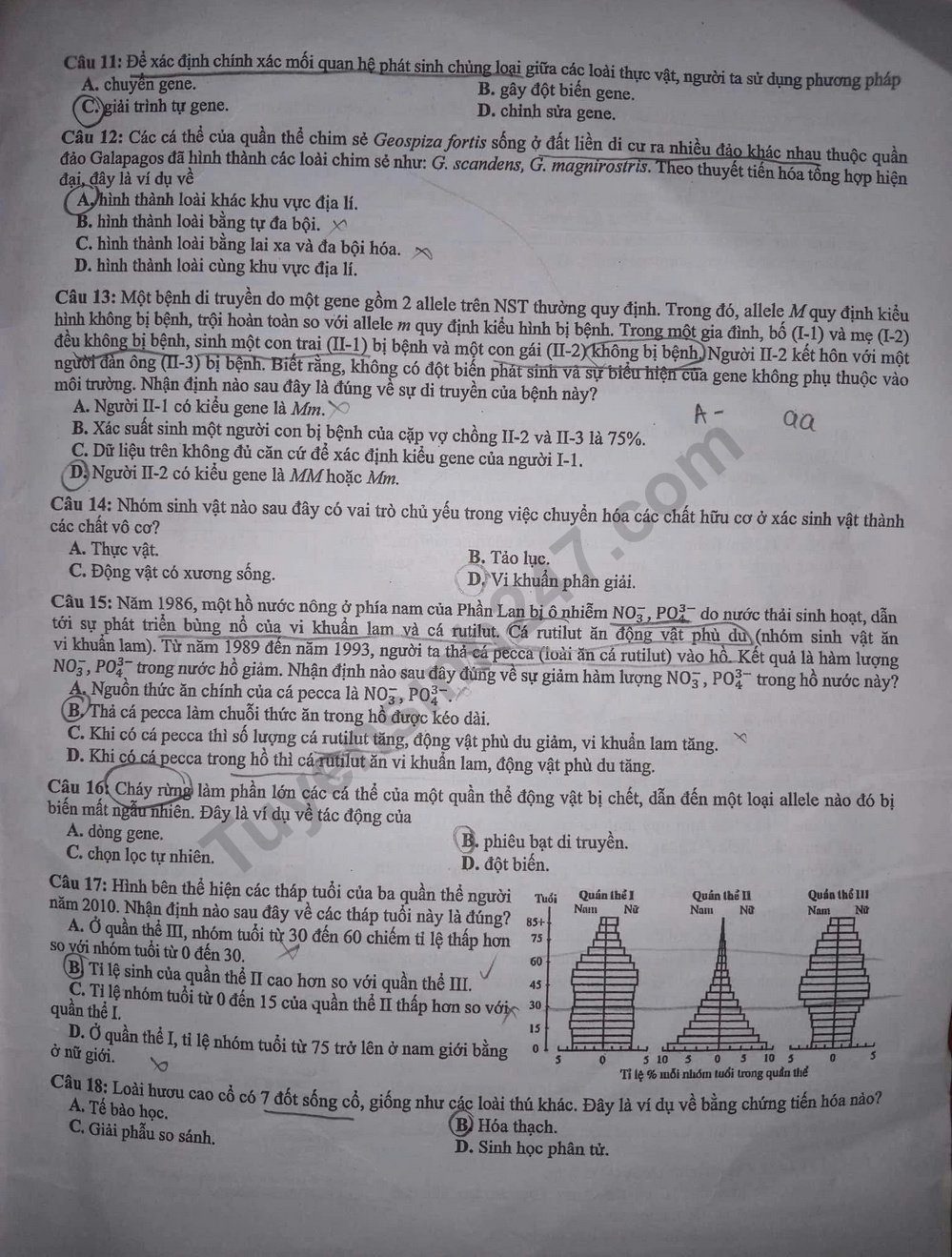 Dap an de thi tot nghiep THPT 2025 - ma de 0424 mon Sinh
