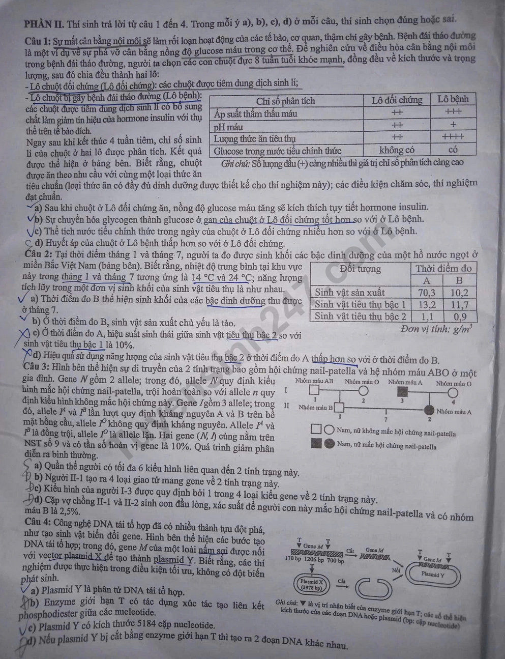 Dap an de thi tot nghiep THPT 2025 - ma de 0424 mon Sinh