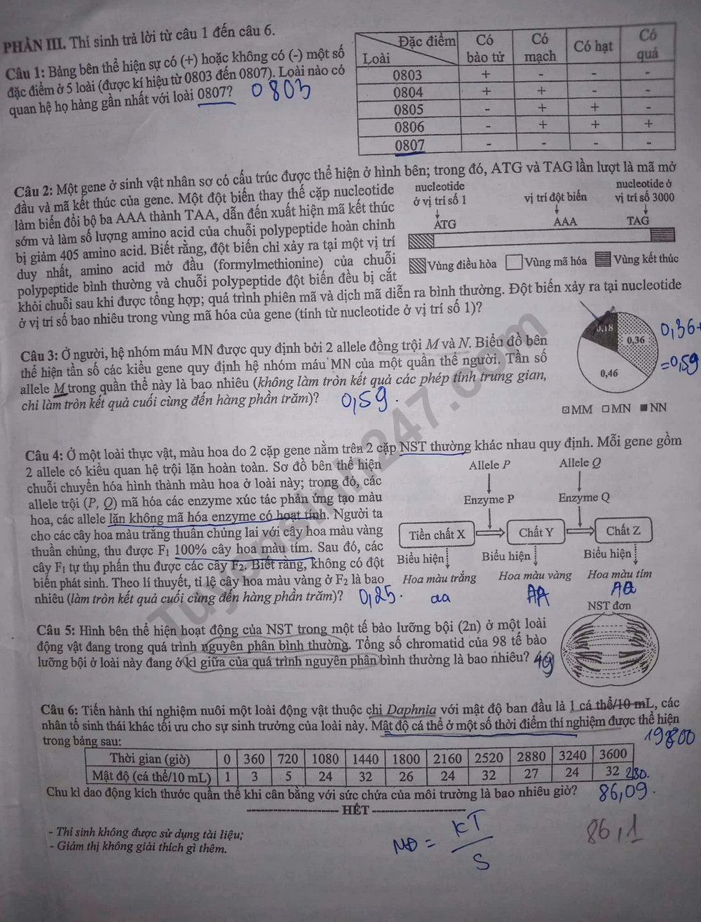 Dap an de thi tot nghiep THPT 2025 - ma de 0424 mon Sinh