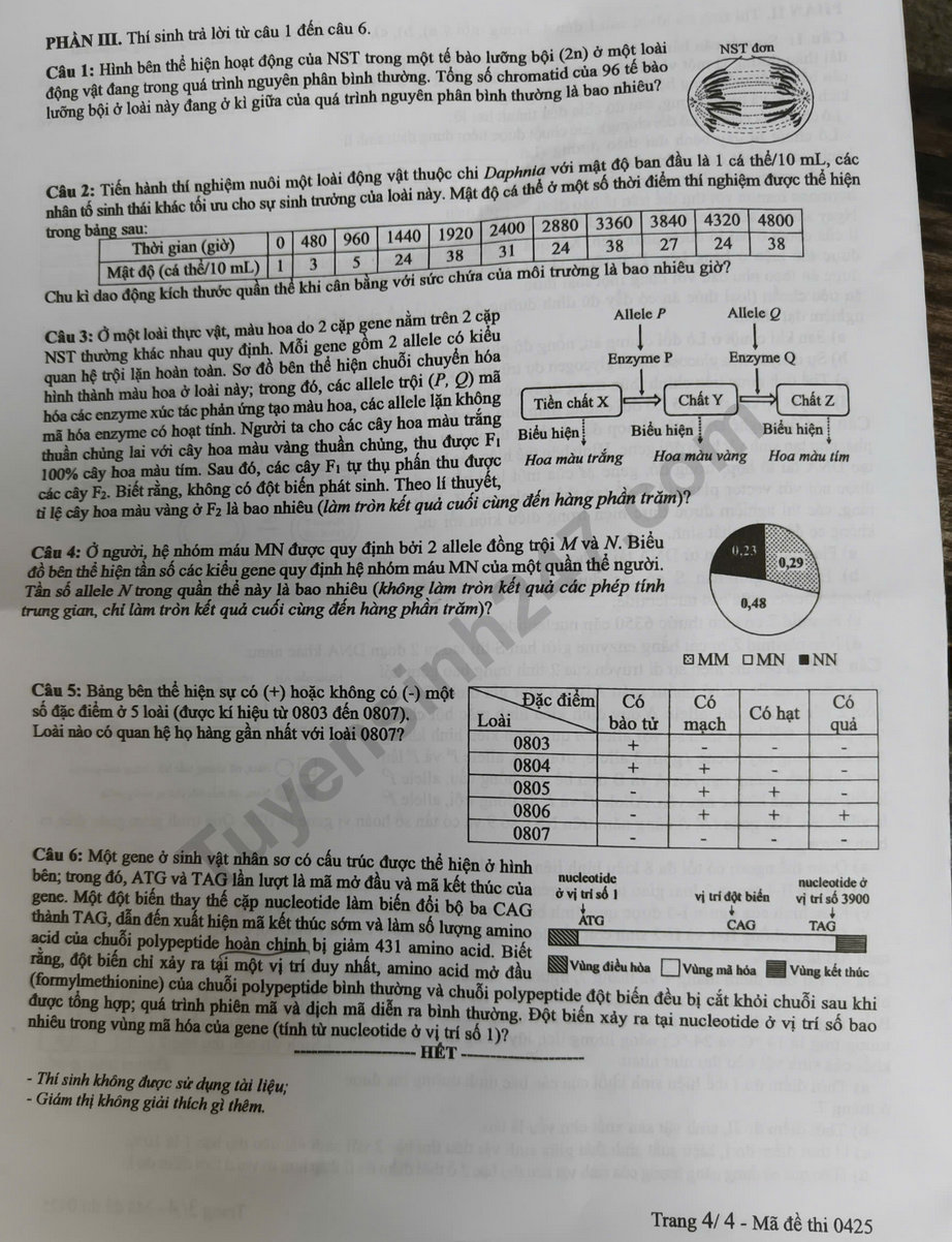 Dap an de thi tot nghiep THPT 2025 mon Sinh - ma de 0425