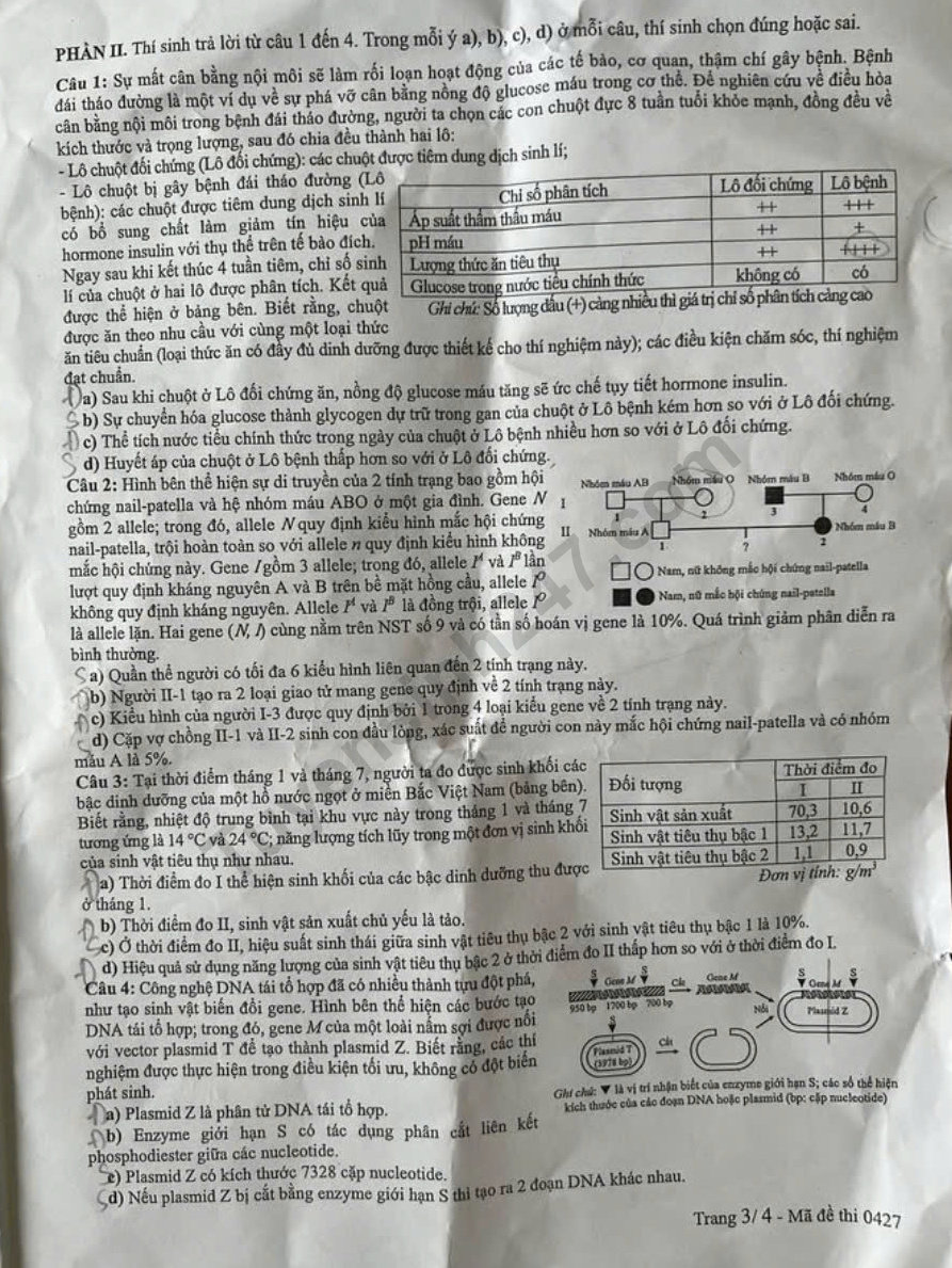 Dap an de thi mon Sinh ma de 0427 tot nghiep THPT 2025