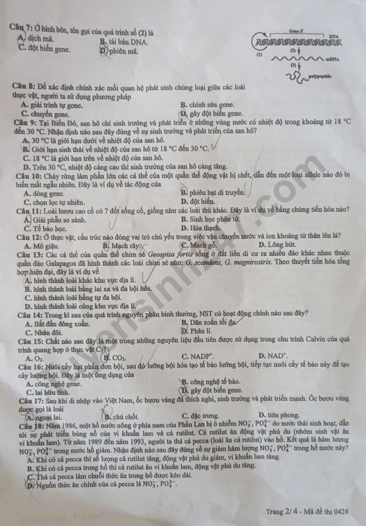 Dap an de thi tot nghiep THPT 2025 mon Sinh - ma de 0428