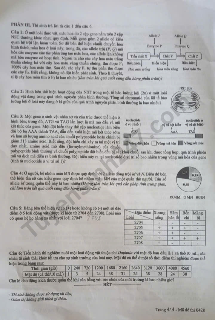 Dap an de thi tot nghiep THPT 2025 mon Sinh - ma de 0428