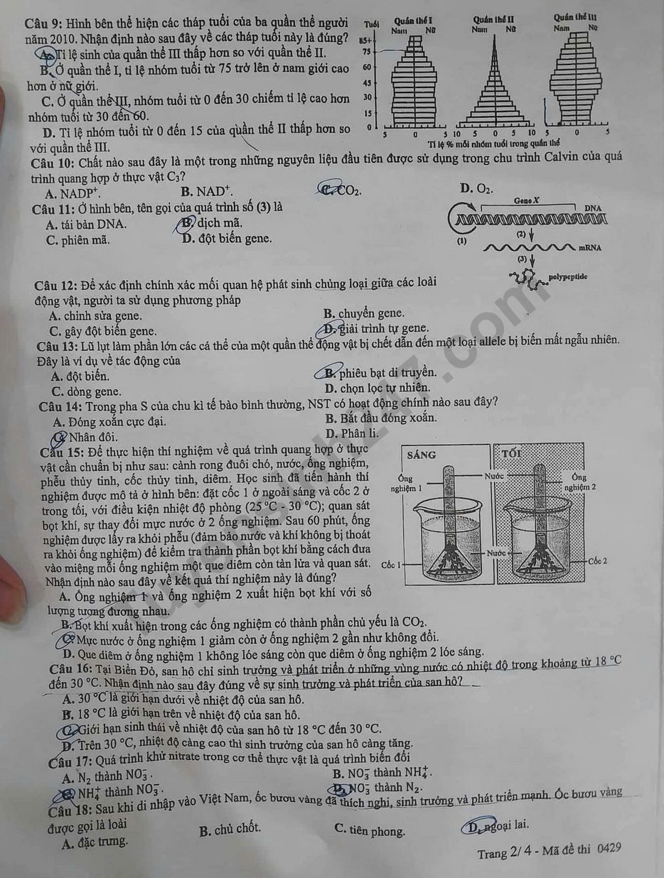 Dap an mon Sinh - ma de 0429 tot nghiep THPT 2025