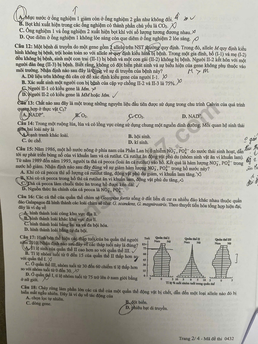 Dap an de thi mon Sinh tot nghiep THPT 2025 ma de 0432