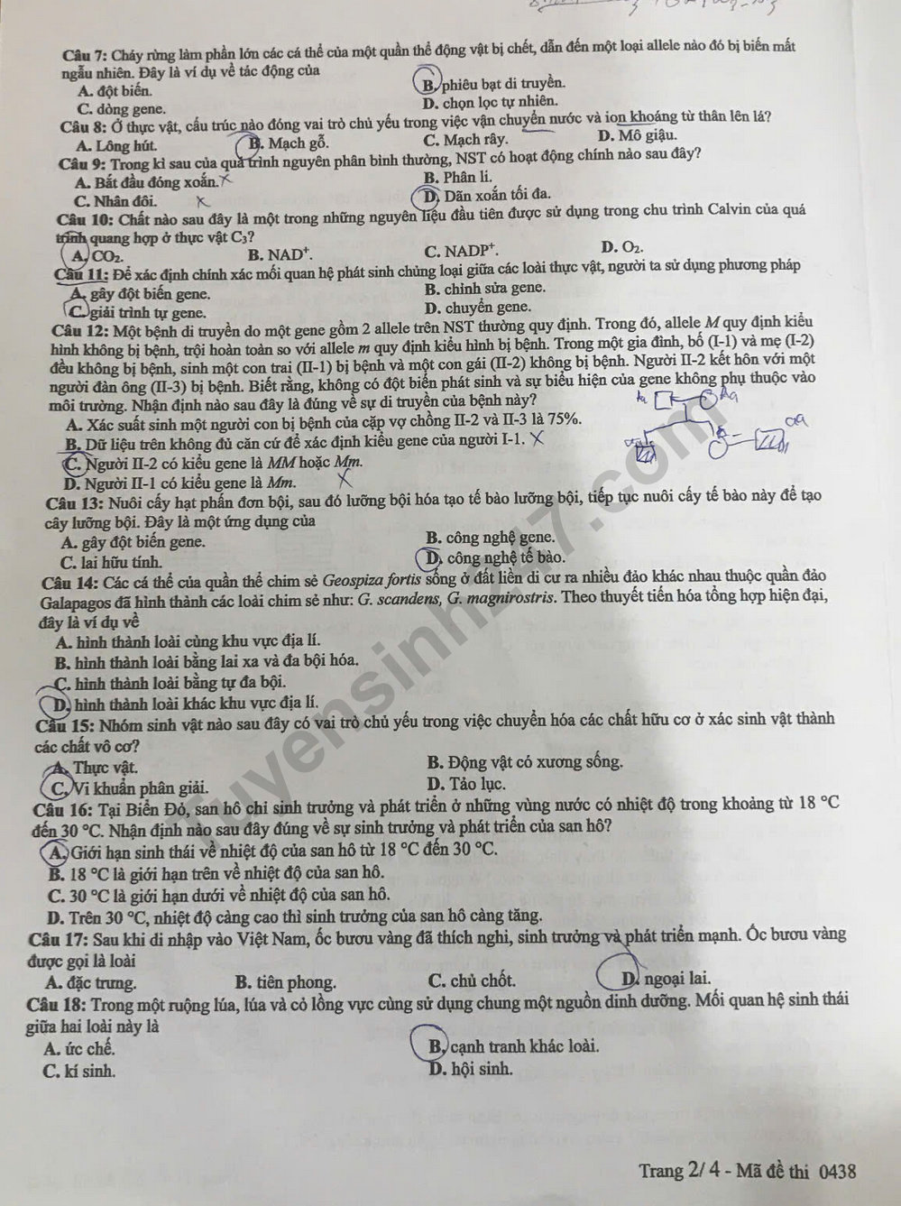 Dap an de thi tot nghiep THPT mon Sinh 2025 - ma de 0438