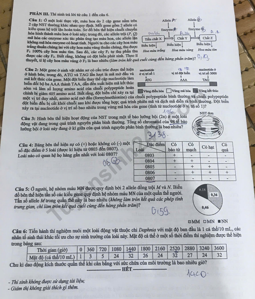 Dap an de thi tot nghiep THPT mon Sinh 2025 - ma de 0438