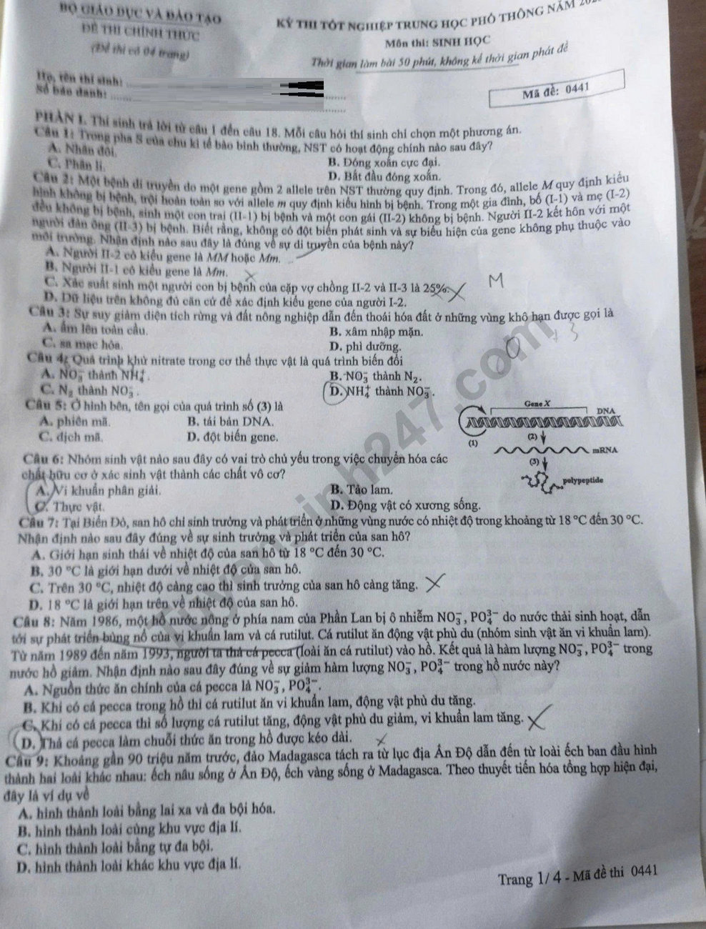 Dap an de thi mon Sinh tot nghiep THPT 2025 - ma de 0441