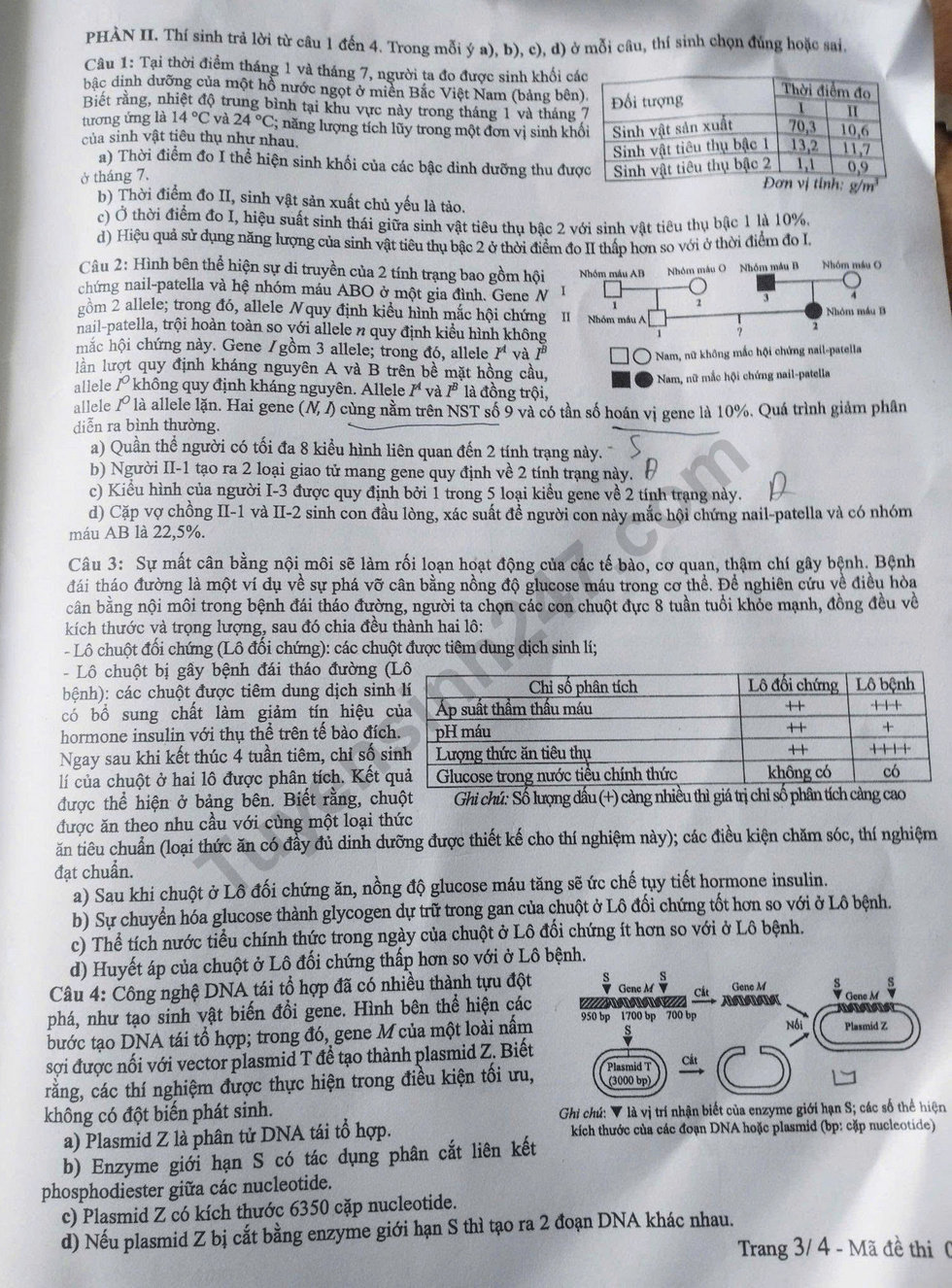 Dap an de thi mon Sinh tot nghiep THPT 2025 - ma de 0441