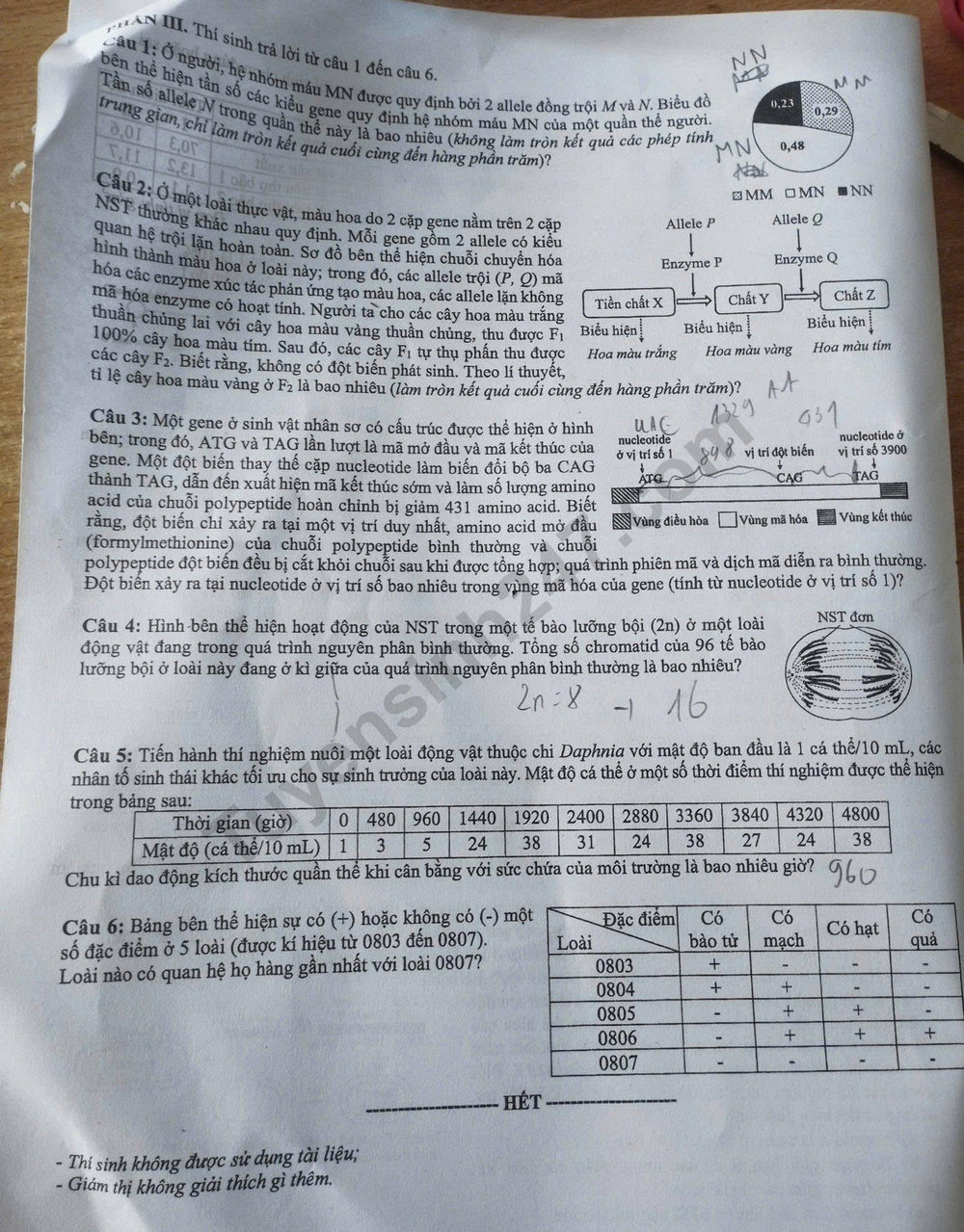 Dap an de thi mon Sinh tot nghiep THPT 2025 - ma de 0441