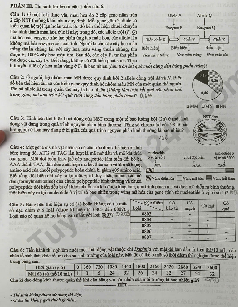 Dap an de thi mon Sinh tot nghiep THPT 2025 ma de 0442