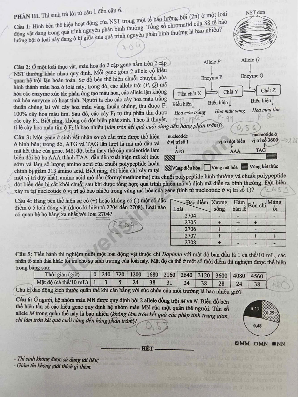 Dap an mon Sinh - ma de 0448 tot nghiep THPT 2025