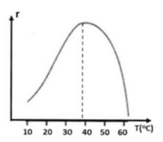 A graph of a function

AI-generated content may be incorrect.