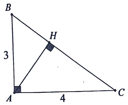 A drawing of a triangle

AI-generated content may be incorrect.