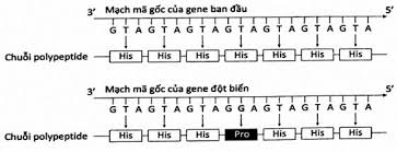 ĐỀ + HƯỚNG DẪN CHẤM KIỂM TRA CUỐI HỌC K&Igrave; I NĂM HỌC 2024 - 2025 M&ocirc;n: KHOA HỌC TỰ NHI&Ecirc;N &ndash; LỚP 9