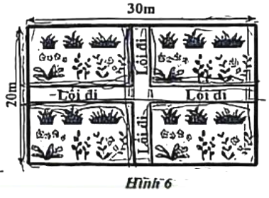 A diagram of a plant chart

AI-generated content may be incorrect.