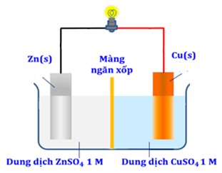 Diagram of a diagram of a cell
AI-generated content may be incorrect.