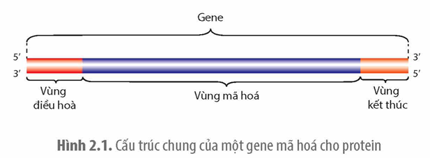 A blue tube with white text

Description automatically generated