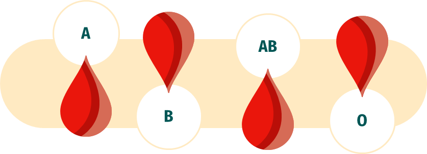 A red and white circle with black text
Description automatically generated with medium confidence