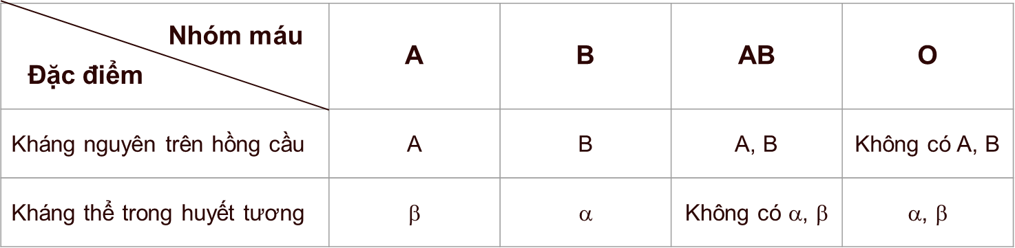 A screenshot of a black screen
Description automatically generated